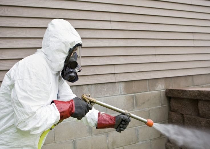 BEST TERMITE PEST CONTROL SERVICES NEAR ME