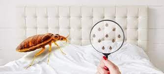 bed bug control near me for family