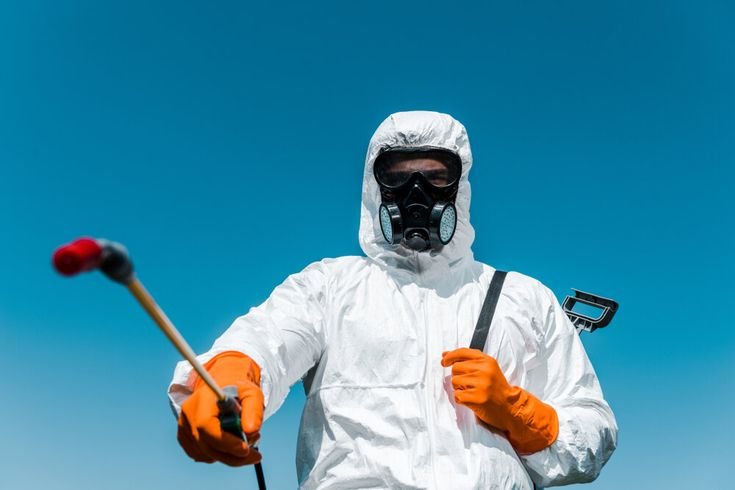 Best termite control services near me MLA COLONY