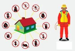 pest services in hyderabad