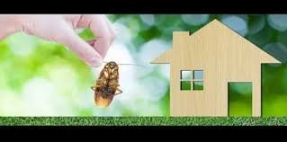 protect pest pree solutions in manikonda