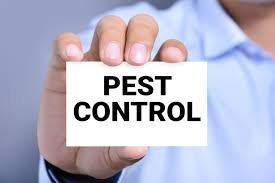 pest control services in erramanzil