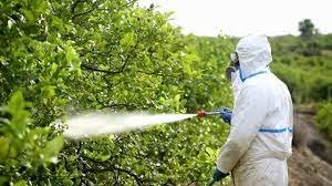 pest control services in beeramguda