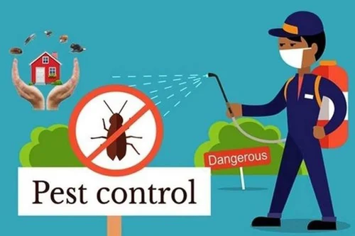 pest control services in kukatpalli for family and apartments